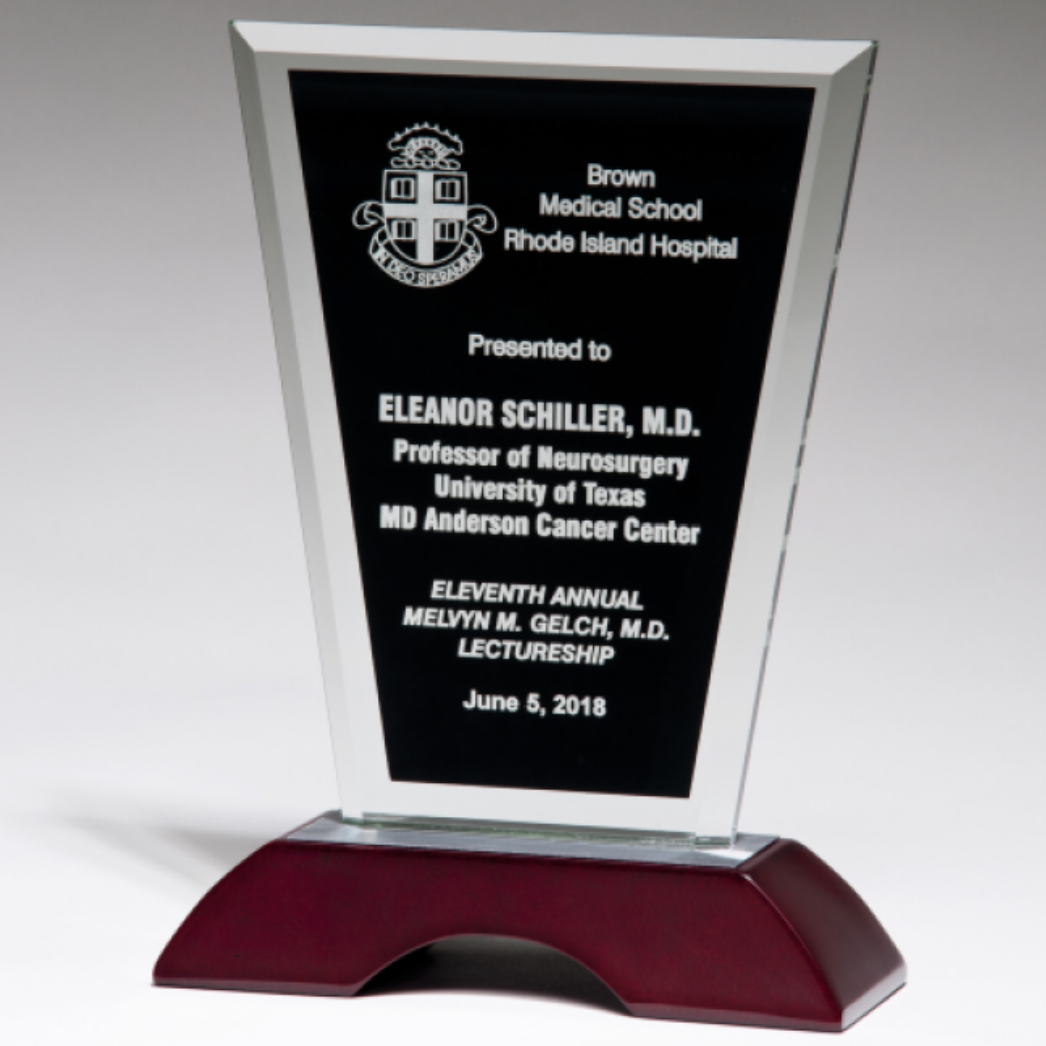 Clear Glass with Black Center & Rosewood Base Stand Up Award