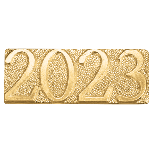 Gold 2023 Metal Chenille Letter Insignia