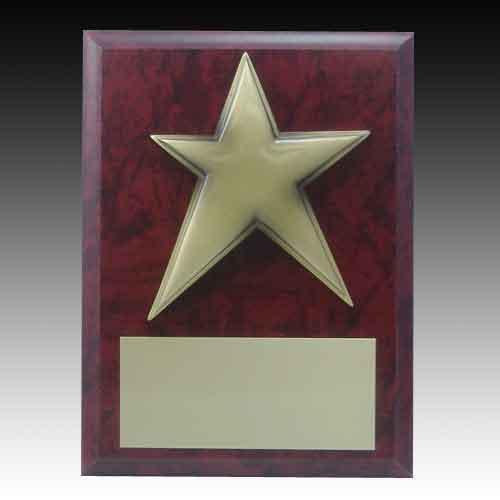 Star Award Plaque
