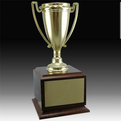 Cup Series Trophy on Wood Base