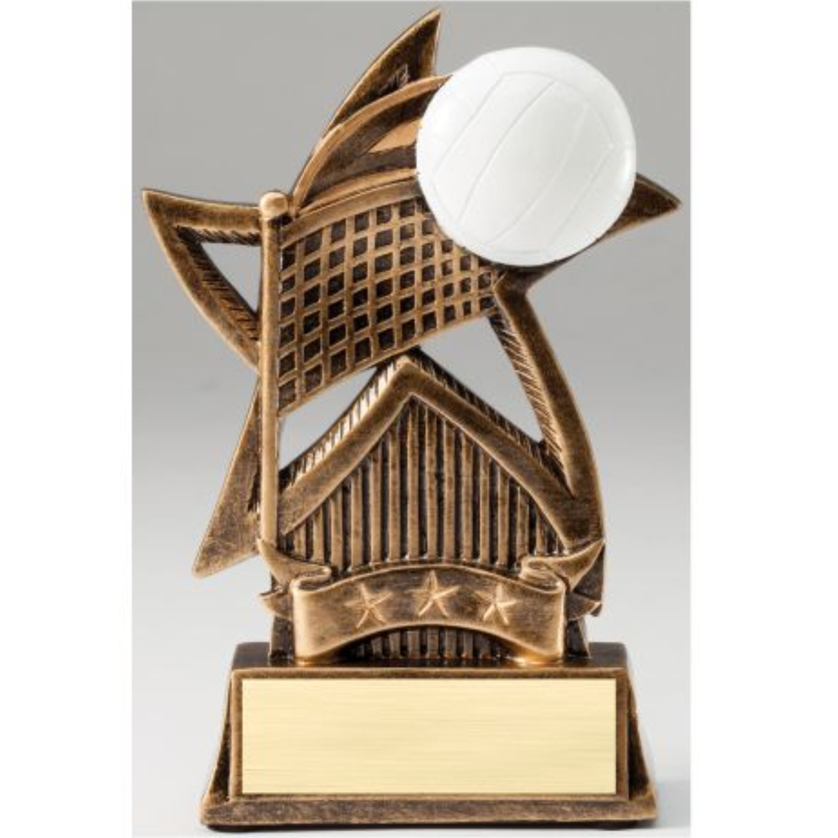Volleyball Star Series Resin Award