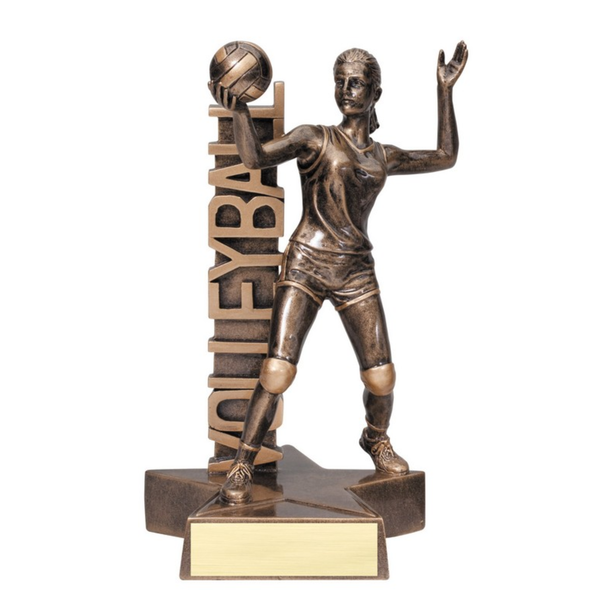 Volleyball Billboard Award