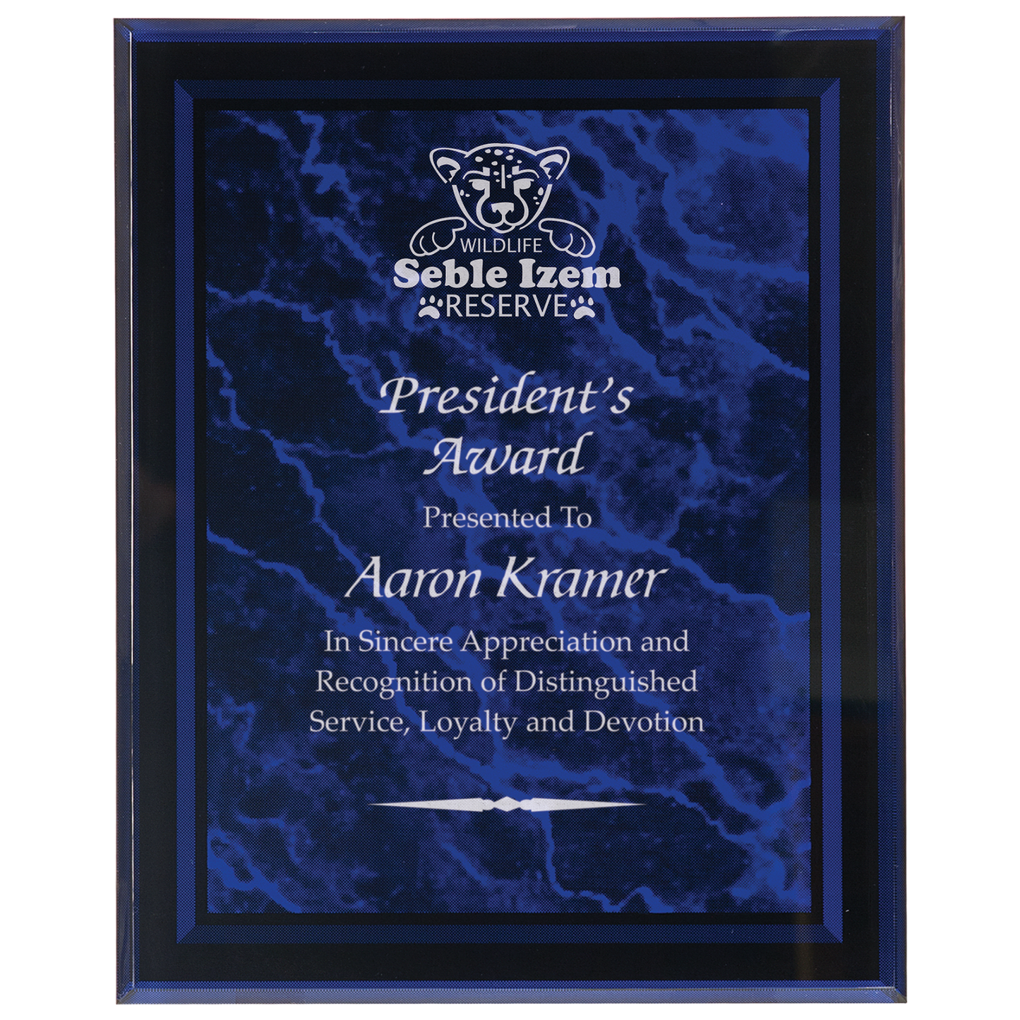 Acrylic Wall Plaque Award
