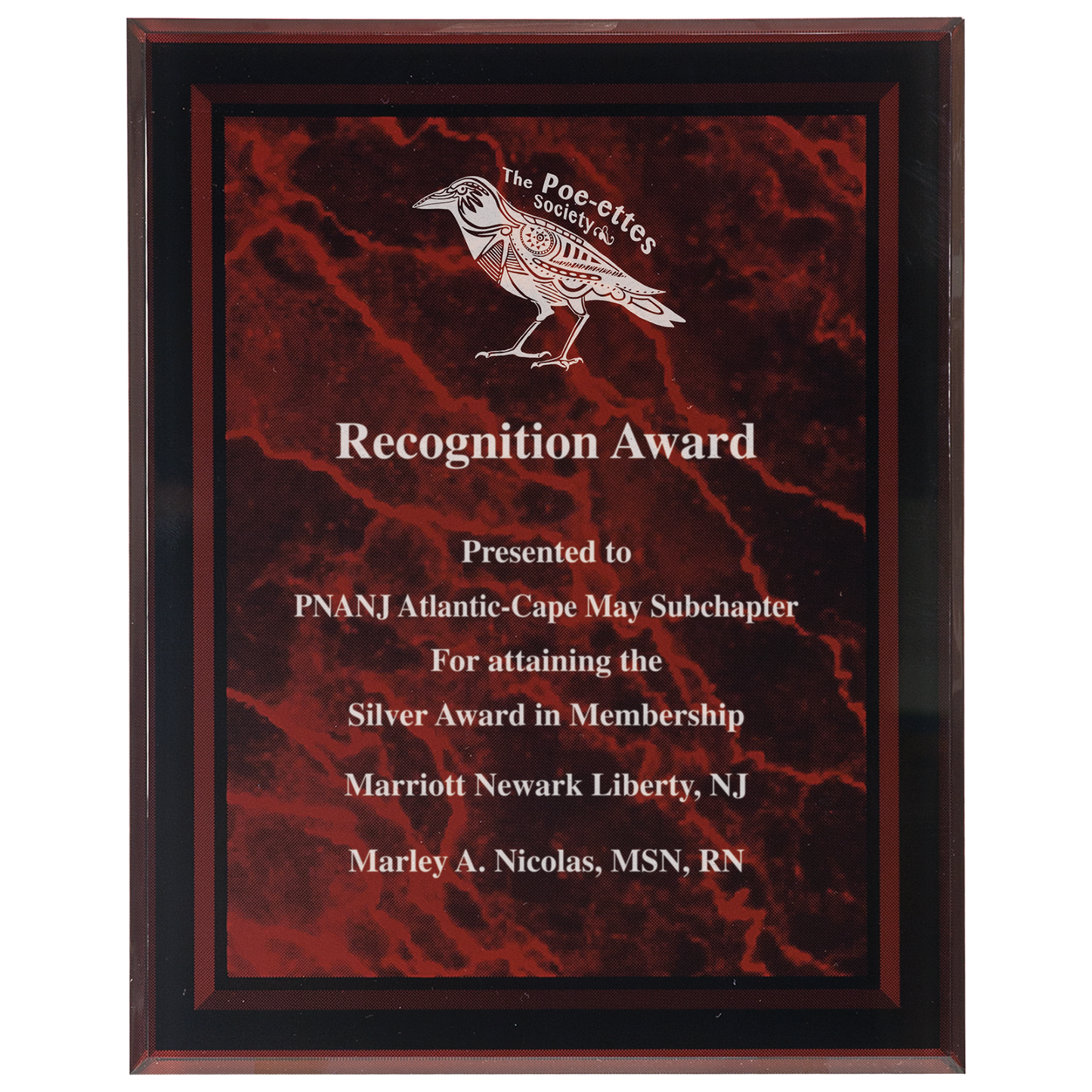 Acrylic Wall Plaque Award