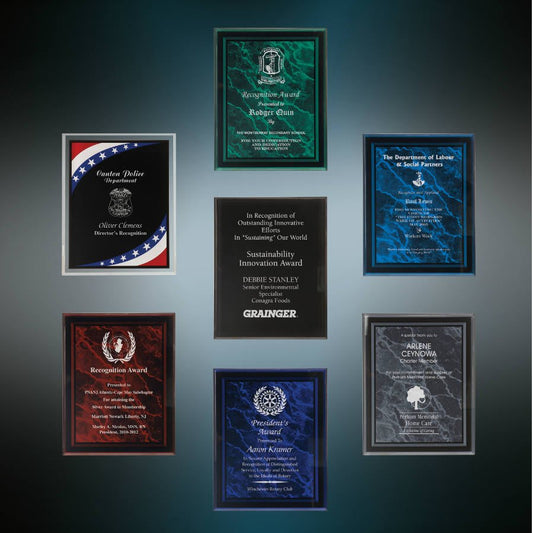 Acrylic Wall Plaque Award