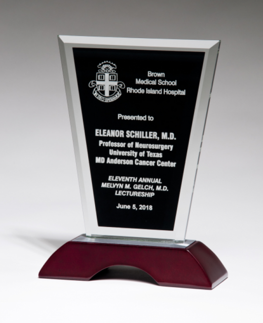 Clear Glass with Black Center & Rosewood Base Stand Up Award