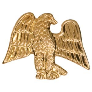 Gold Eagle Metal Chenille Letter Insignia