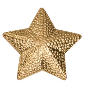 Gold Star Metal Chenille Letter Insignia