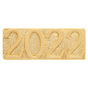 Gold 2022 Metal Chenille Letter Insignia