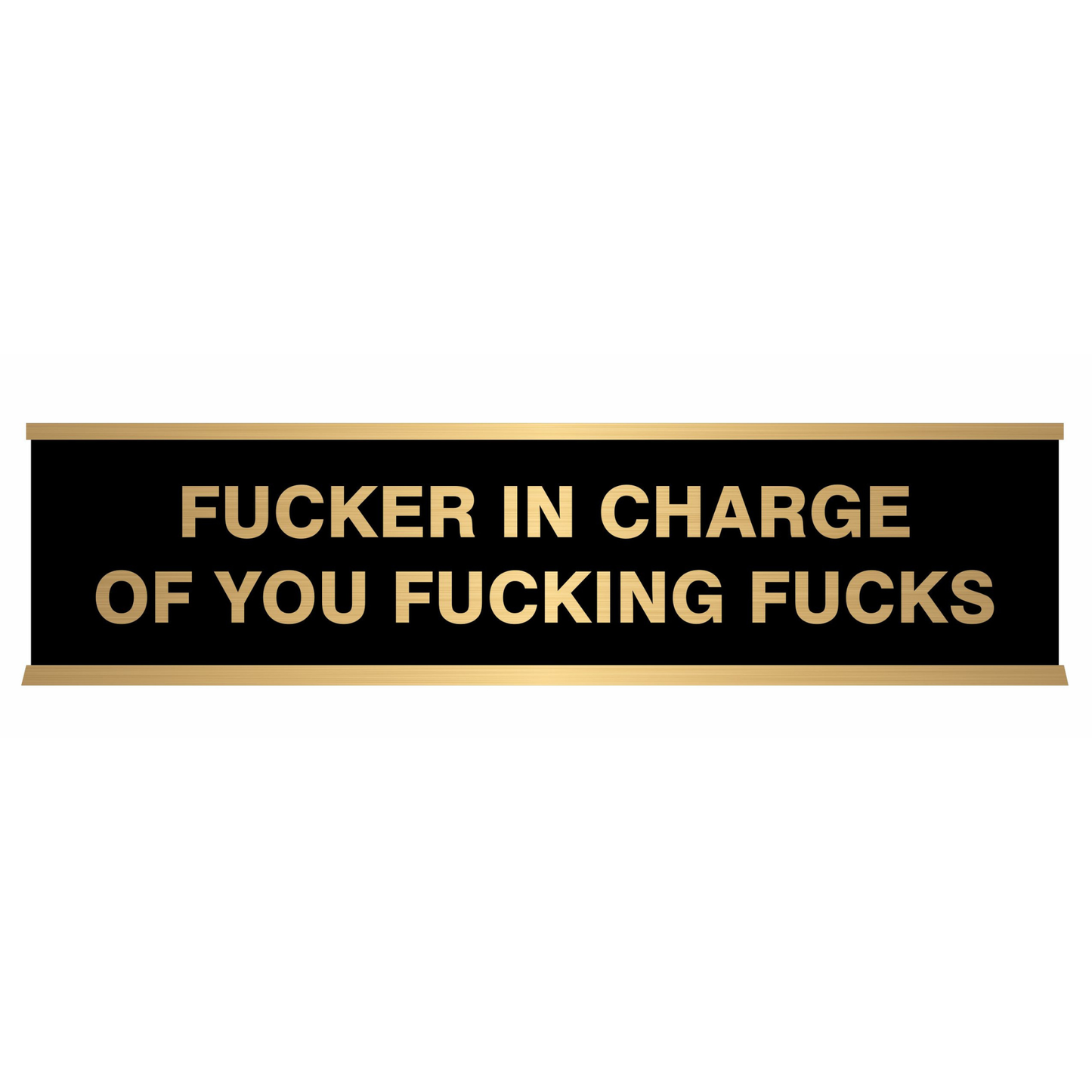 Desk "Name Tag" with Pre-Engraved Sayings (Funny, 13+)