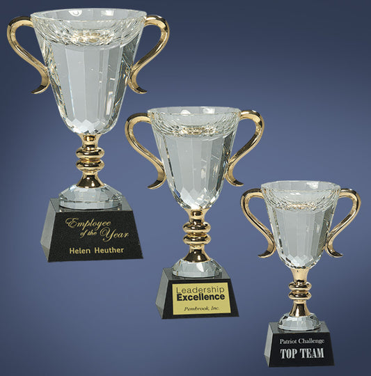 Crystal Cups with Gold Handle Stand Up Award