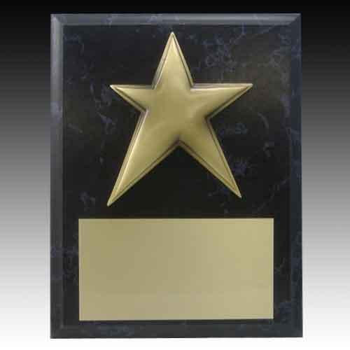 Star Award Plaque