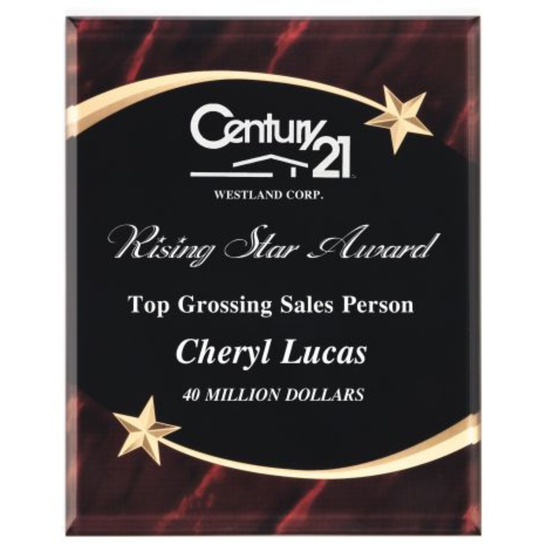 Acrylic Star Wall Plaque