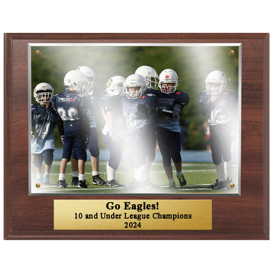 Photo/Certificate Award Sponsor Plaque