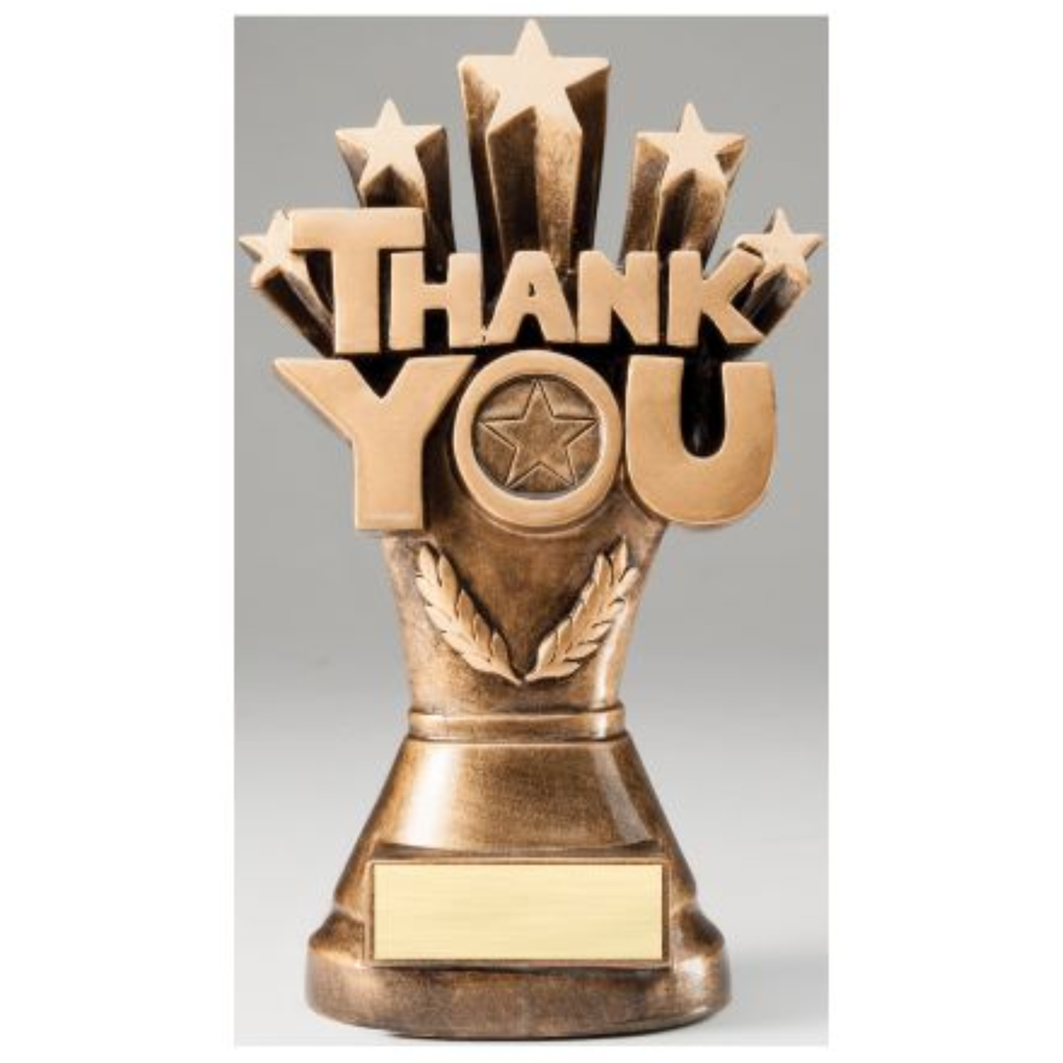 Thank You Resin Award