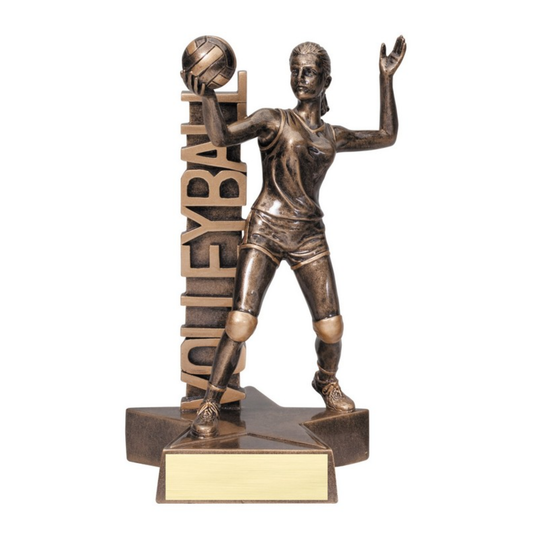 Volleyball Billboard Award